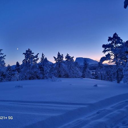 Malangen Lodge Mestervik Exteriör bild