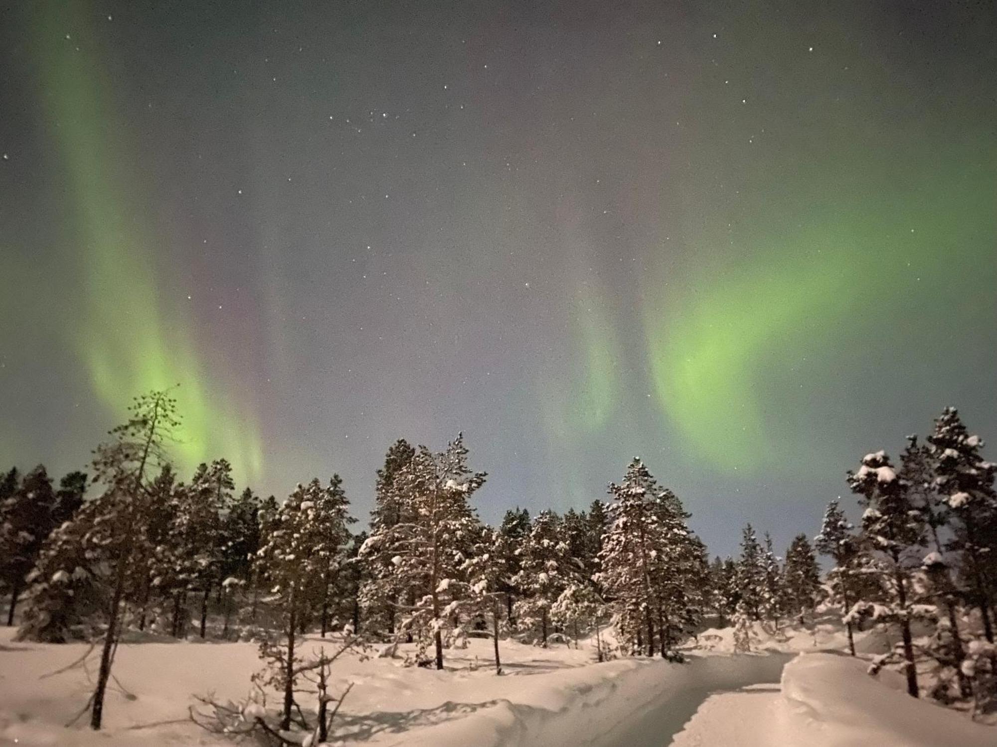 Malangen Lodge Mestervik Exteriör bild
