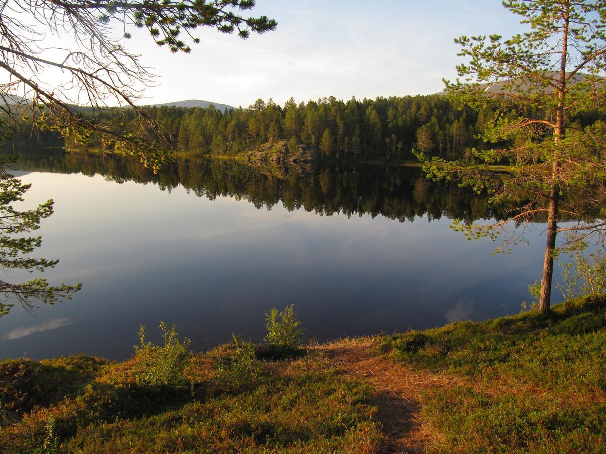 Malangen Lodge Mestervik Exteriör bild