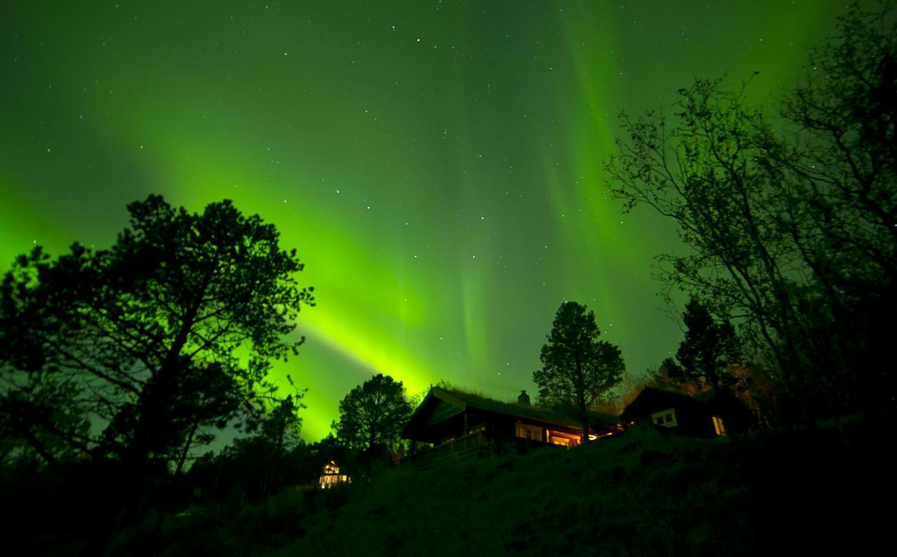 Malangen Lodge Mestervik Exteriör bild
