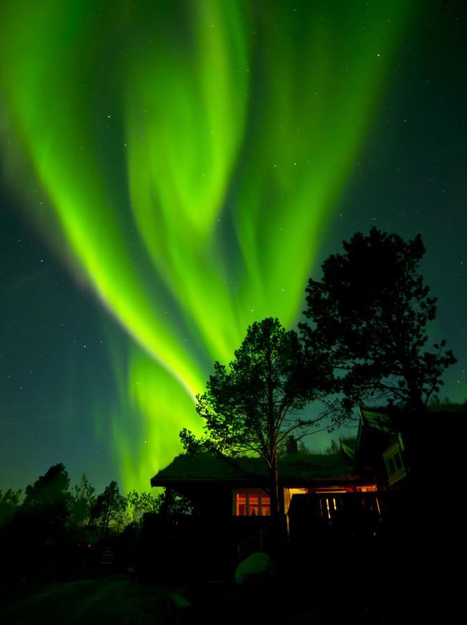 Malangen Lodge Mestervik Exteriör bild