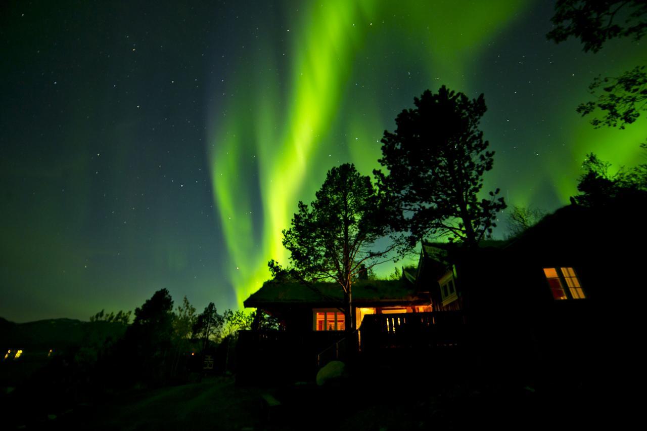Malangen Lodge Mestervik Exteriör bild
