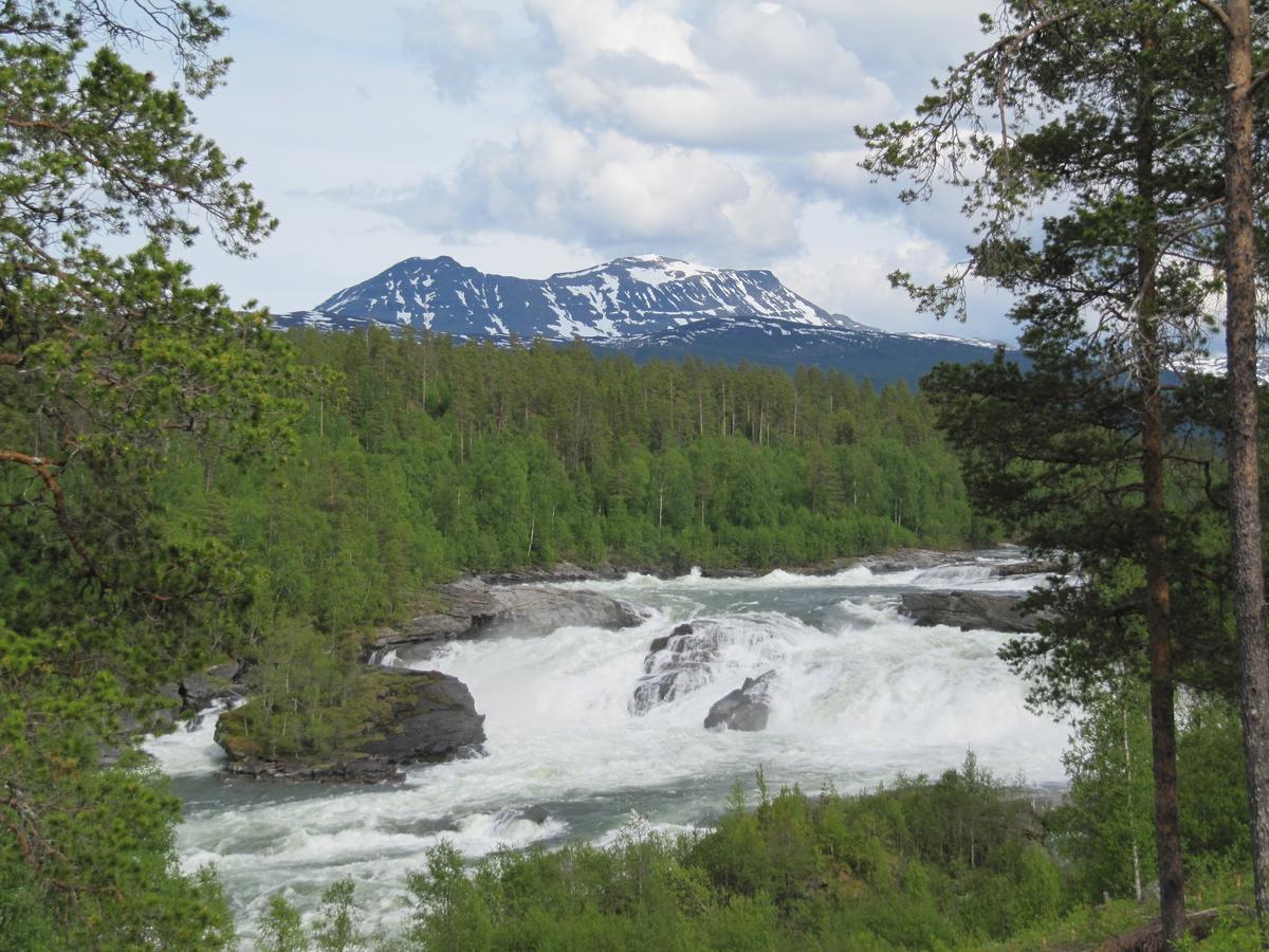 Malangen Lodge Mestervik Exteriör bild