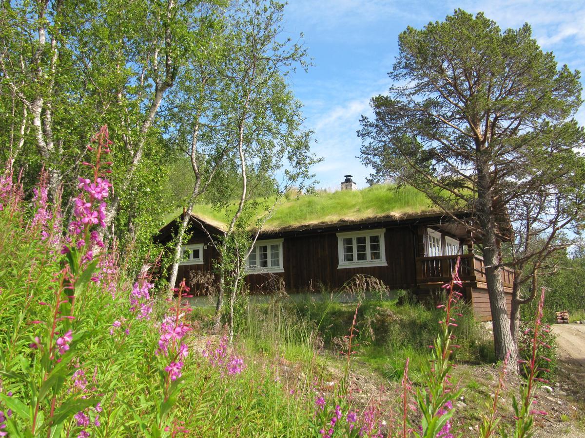 Malangen Lodge Mestervik Exteriör bild